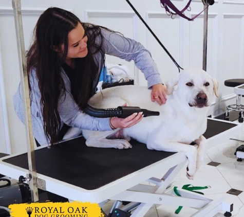 Royal Oak Dog Grooming - Edmond, OK