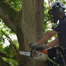 Volusia Bobcat & Tree Service - Arborists