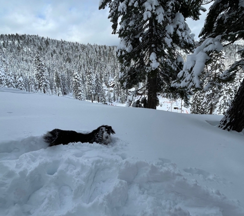 Granlibakken Resort - Tahoe City, CA