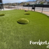 ForeverLawn Mile High gallery