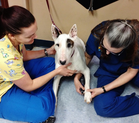 TLC Animal Hospital - Houston, TX