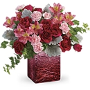 Vernal Floral - Flowers, Plants & Trees-Silk, Dried, Etc.-Retail