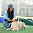 Pet Paradise - Hostels