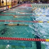 Wsy Swimming gallery