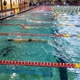 Wsy Swimming