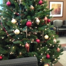 Mecklenburg Medical Group - Physicians & Surgeons