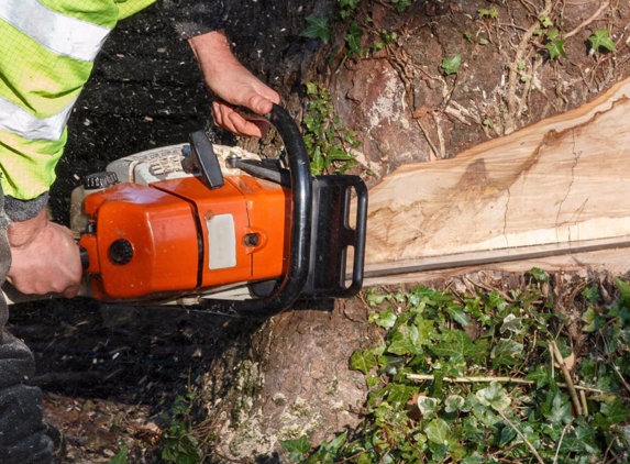 Ax Men Tree Service LLC - Darien Center, NY