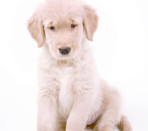 Merimbula Veterinary Clinic - Merimbula, NSW
