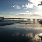 Myrtle Beach State Park