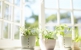 WinChoice USA - Southeast Texas - Windows-Repair, Replacement & Installation
