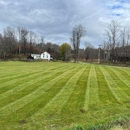 Solid Ground Property Resolutions