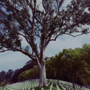 Los Angeles National Cemetery - U.S. Department of Veterans Affairs - Veterans & Military Organizations