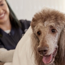 Petco - Pet Services