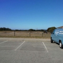 Elkhorn Slough Safari Nature Tours - Sightseeing Tours