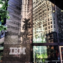 IBM - Computer Software & Services