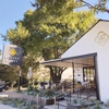 Sips & Sweets gallery