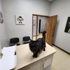 Hononegah Animal Hospital gallery