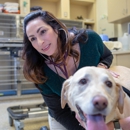 VCA Sacramento Veterinary Referral Center - Veterinary Clinics & Hospitals