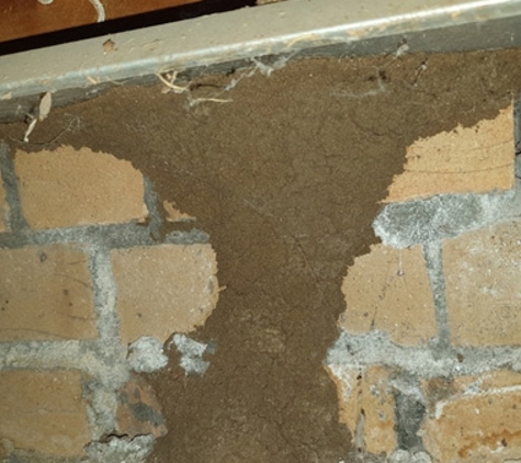 Keiran Mortimer Pest Control - Wilsonton, QLD. Keep your eye out for signs of termites around your home.