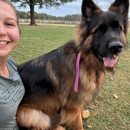 April Hudgins Pet Care Services