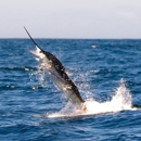 Ecuagringo - Marlin Fishing - Boat Tours