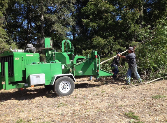 Pineda Tree Service - Woodside, CA