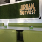 Urban Harvest