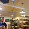 Bagelsaurus gallery