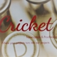 Cricket Transcription & Proofreading