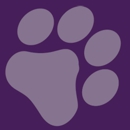 Furever Bookkeeping, Business Accounting & CFO Services - Bookkeeping