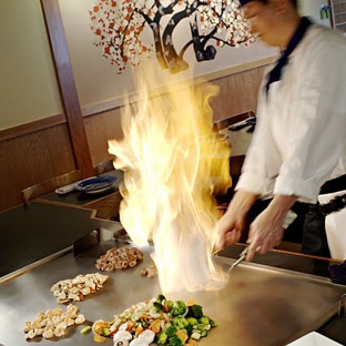 Nakato Japanese Steakhouse - Charlotte, NC