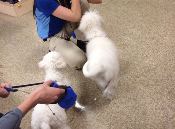 PetSmart - El Segundo, CA