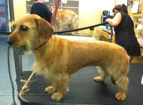 Clip And Snip Grooming & Country Kennels - Murrieta, CA