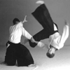 Aikido Shugyokan gallery