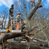 Spartan Tree Elimination gallery