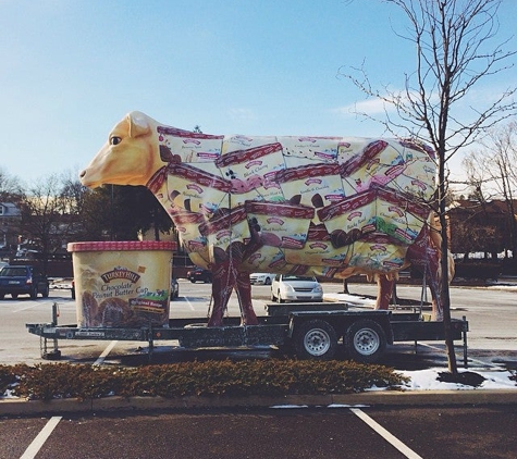 GIANT Food Stores - Willow Grove, PA