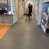 Bayshore Animal Clinic gallery