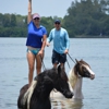 Beach Horseback Rides gallery