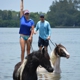 Beach Horseback Rides