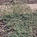 East Valley Weed Control - Pest Control Equipment & Supplies