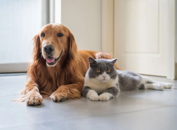 Ulverstone Boarding Kennels & Cattery - Ulverstone, TAS