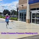 Under Pressure Pressure Washing - Window Cleaning