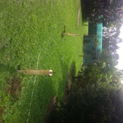Gallery Image Number 2