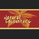 Natural Encounters - Fireplaces