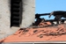 Blue Hippo Restoration - Fire & Water Damage Restoration