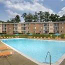 Chestnut Hill Apartments - Apartments