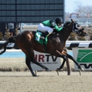 Rocky Time Farm - Horse Breeders