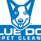 Blue Dog Carpet Cleaning
