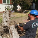 Green Vine Maintenance Svc - Lawn Maintenance