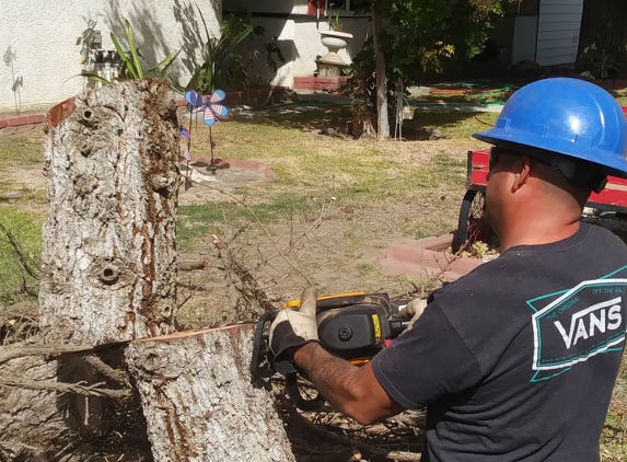 Green Vine Maintenance Svc - Bakersfield, CA